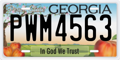 GA license plate PWM4563