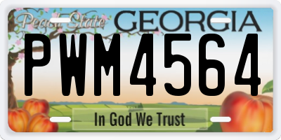GA license plate PWM4564