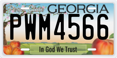 GA license plate PWM4566