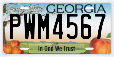 GA license plate PWM4567
