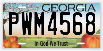 GA license plate PWM4568