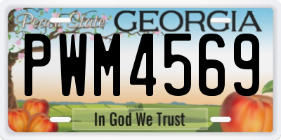 GA license plate PWM4569