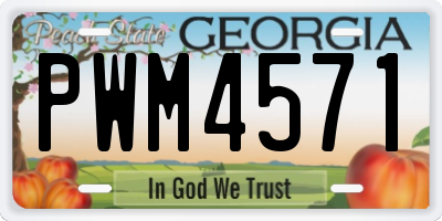 GA license plate PWM4571