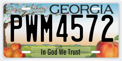 GA license plate PWM4572