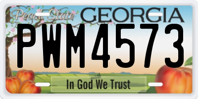 GA license plate PWM4573
