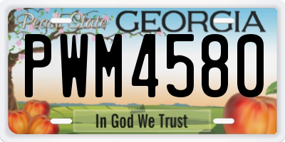 GA license plate PWM4580