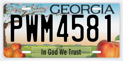 GA license plate PWM4581
