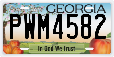 GA license plate PWM4582