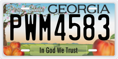 GA license plate PWM4583