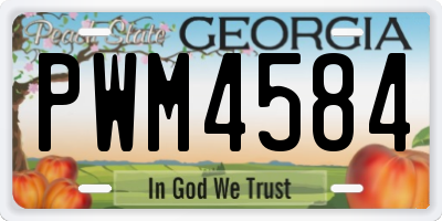 GA license plate PWM4584