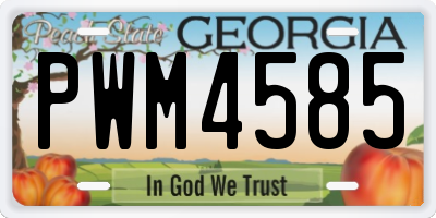 GA license plate PWM4585