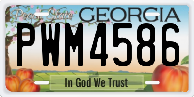 GA license plate PWM4586