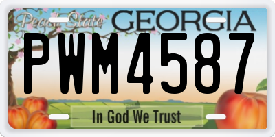 GA license plate PWM4587