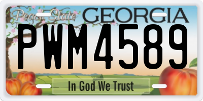 GA license plate PWM4589
