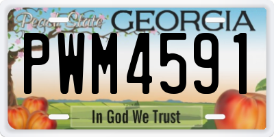 GA license plate PWM4591
