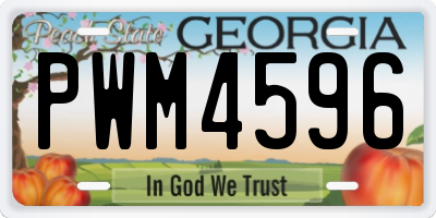 GA license plate PWM4596