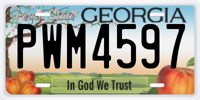 GA license plate PWM4597