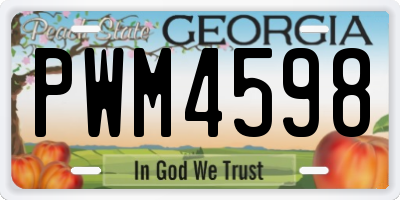 GA license plate PWM4598
