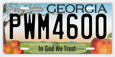 GA license plate PWM4600