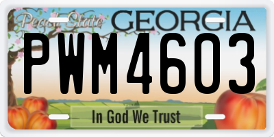 GA license plate PWM4603