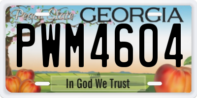 GA license plate PWM4604