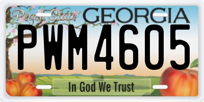 GA license plate PWM4605