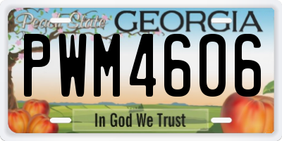 GA license plate PWM4606
