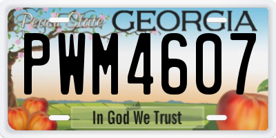 GA license plate PWM4607