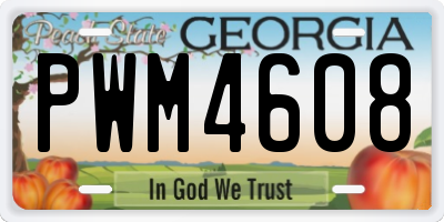 GA license plate PWM4608