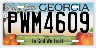 GA license plate PWM4609