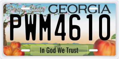 GA license plate PWM4610