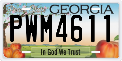 GA license plate PWM4611