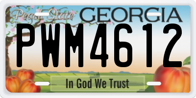 GA license plate PWM4612