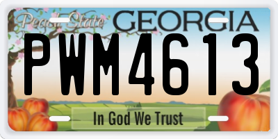 GA license plate PWM4613