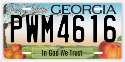 GA license plate PWM4616