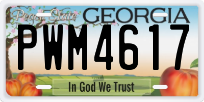 GA license plate PWM4617