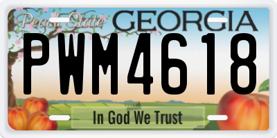 GA license plate PWM4618