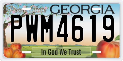 GA license plate PWM4619
