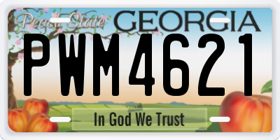 GA license plate PWM4621