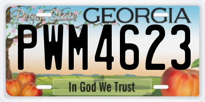 GA license plate PWM4623