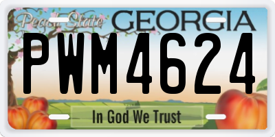 GA license plate PWM4624