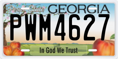 GA license plate PWM4627