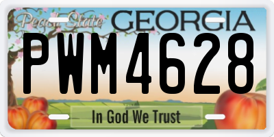 GA license plate PWM4628