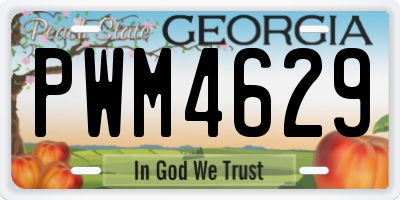 GA license plate PWM4629