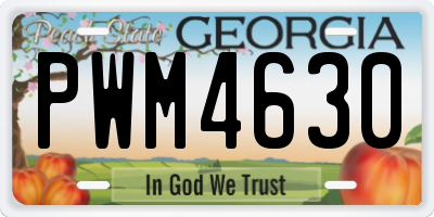 GA license plate PWM4630