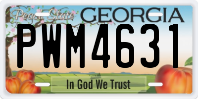 GA license plate PWM4631