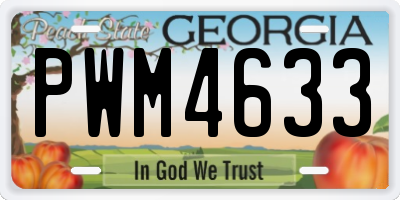 GA license plate PWM4633