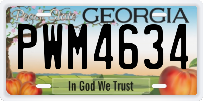 GA license plate PWM4634