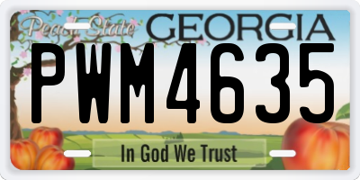 GA license plate PWM4635