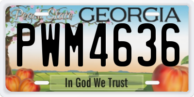 GA license plate PWM4636